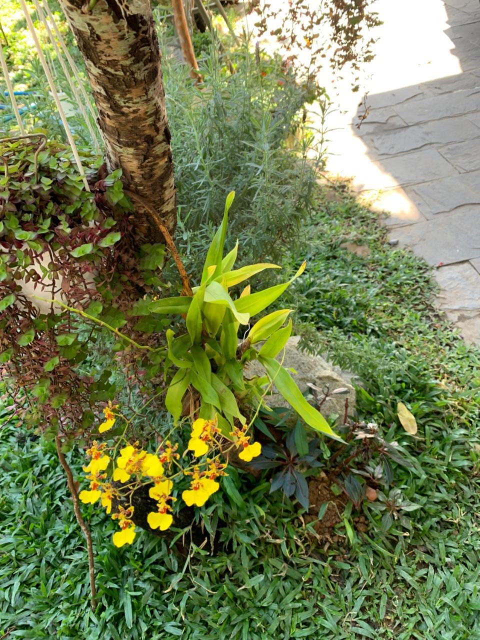 De Daisy Villa Homestay Da Lat Exterior photo